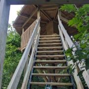 Tree House Stairs